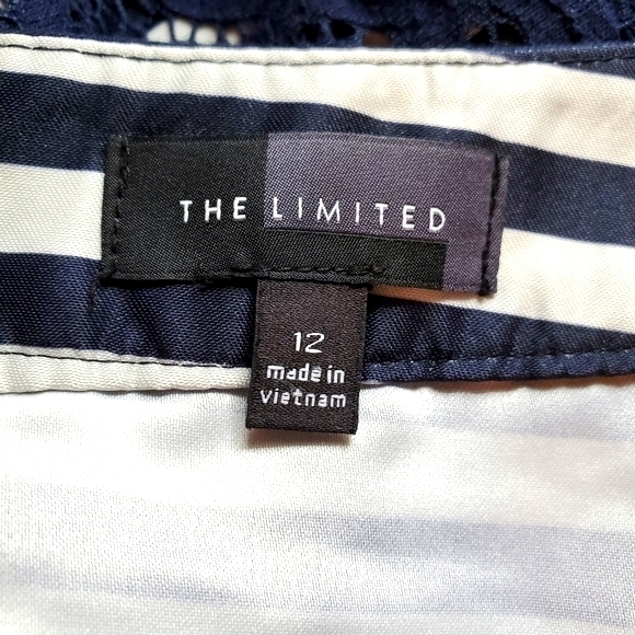 The Limited A-Line Lace with Striped Lining Skirt Size 12 - Picture 9 of 10